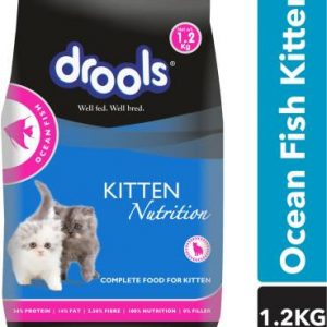 drools Kitten(1-12 Months) Ocean Fish 1.2 kg Dry Young Cat Food