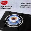 Pigeon Popular 2 Burner Glass Cooktop Glass Manual Gas Stove  (2 Burners)